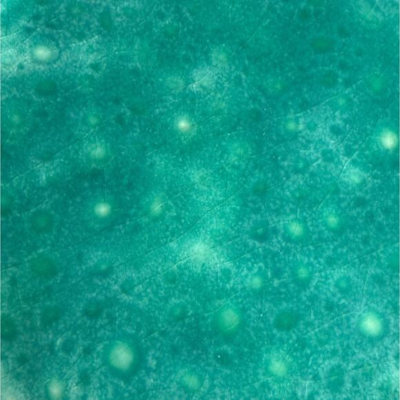 Paola Navone Fish Dish Set of 2 MCM Style Pottery Plates Made in Portugal - Picture 8 of 11